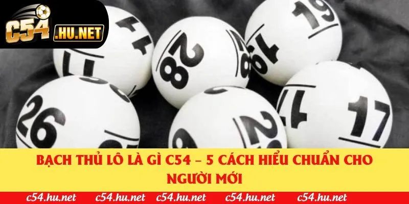 Bạch Thủ Lô Là Gì? Cách Hiểu Chuẩn Cho Người Mới 2025