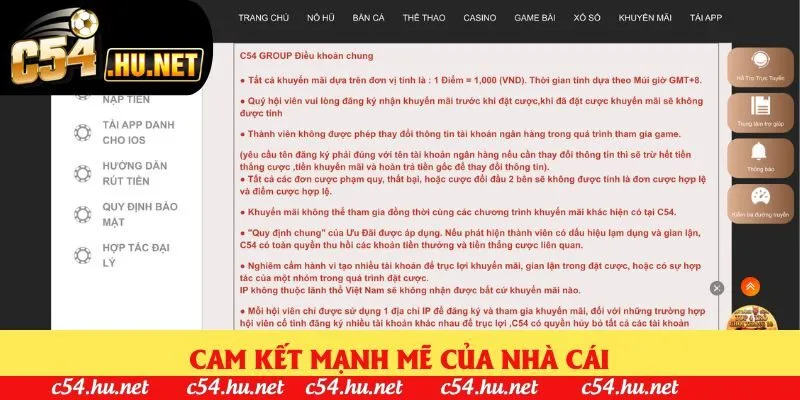 Cam kết mạnh mẽ của nền tảng