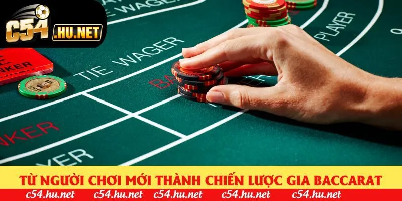 Từ người chơi mới thành chiến lược gia baccarat