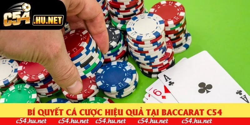 Bí quyết cá cược hiệu quả tại baccarat C54