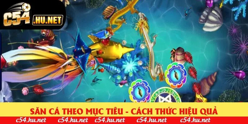 Săn cá theo mục tiêu - Cách thức hiệu quả